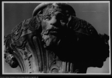 Białystok, Pałac Branickich, ogrody