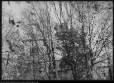 Trześcianka, cerkiew św. Michała Archanioła