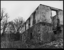 Ruiny dworu
