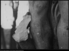 Białystok, Pałac Branickich, ogrody