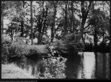 Choroszcz, park pałacowy