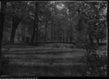 Choroszcz, park pałacowy