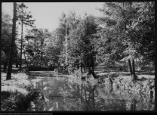 Choroszcz, park pałacowy