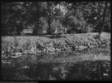 Choroszcz, park pałacowy