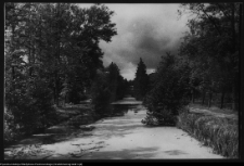 Choroszcz, park pałacowy