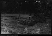 Choroszcz, park pałacowy