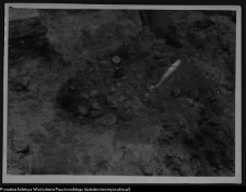 Białystok, Pałac Branickich