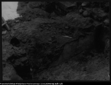 Białystok, Pałac Branickich