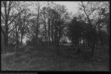 Białystok, Ogrody Branickich