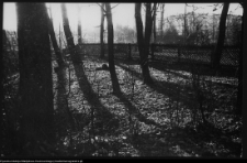 Białystok, Ogrody Branickich