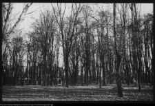 Białystok, Ogrody Branickich