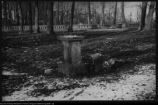 Białystok, Ogrody Branickich