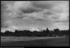 Choroszcz, park pałacowy i jego otoczenie