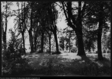 Choroszcz, park pałacowy i jego otoczenie