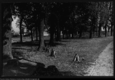 Choroszcz, park pałacowy