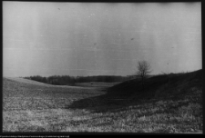 Choroszcz, park pałacowy i jego otoczenie