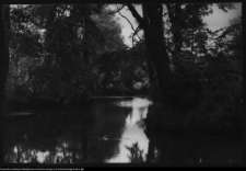 Choroszcz, park pałacowy