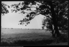 Choroszcz, park pałacowy i jego otoczenie