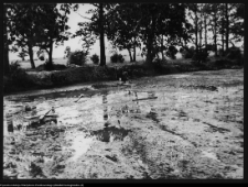 Choroszcz, park pałacowy