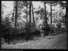 Choroszcz, park pałacowy