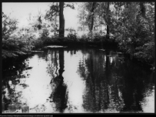 Choroszcz, park pałacowy