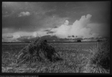 Choroszcz, park pałacowy i jego otoczenie
