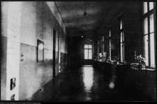 Białystok, Państwowe Gimnazjum im. króla Zygmunta Augusta