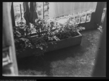 Białystok, balkon inż. Władysława Paszkowskiegona na Al. 1 Maja (obecnie Piłsudskiego)