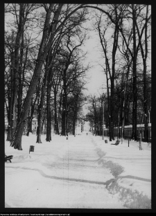 Białystok, Park Planty