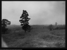 Pawłowicze, dw&oacute;r