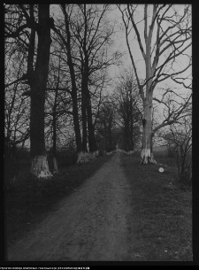 Pawłowicze, dw&oacute;r