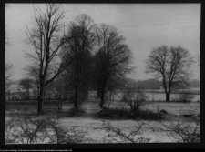 Pawłowicze, dw&oacute;r