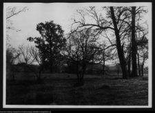 Pawłowicze, dw&oacute;r