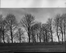 Chodor&oacute;wka, krzyże cmentarne