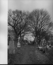 Chodor&oacute;wka, krzyże cmentarne