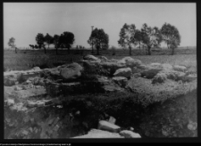 Tykocin, ruiny zamku