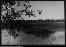 Tykocin, widok na miasto