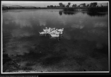 Tykocin, widok na miasto