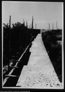 Wigry : zespół klasztorno-kościelny