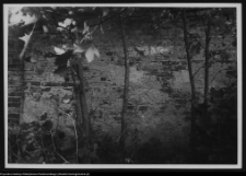 Wigry, mur oporowy wjazdowy