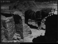 Wigry : zespół klasztorno-kościelny