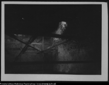 Wigry : zesp&oacute;ł klasztorno-kościelny