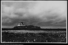 Wigry : zesp&oacute;ł klasztorno-kościelny