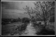 Wigry, teren dawnych ogródków eremitów