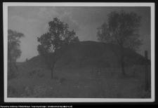 Drohiczyn, grodzisko