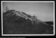 Drohiczyn, grodzisko