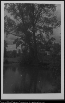 Bęćkowo, otoczenie dworu