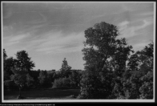 Bęćkowo, ogród dworski