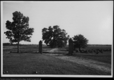 Bęćkowo, aleja wiodąca z dworu w kierunku Szczuczyna