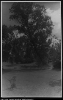 Bęćkowo, ogród dworski